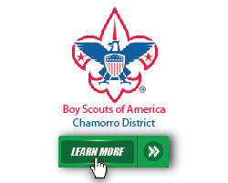 Boy Scouts-01